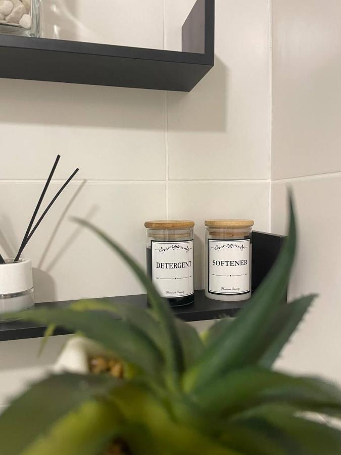 Mango / Estudio Con Piscina!!! 托罗克斯科斯塔 外观 照片